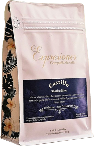 Expresiones Castillo