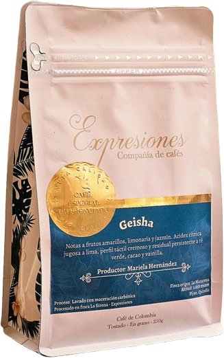 Expresiones Geisha